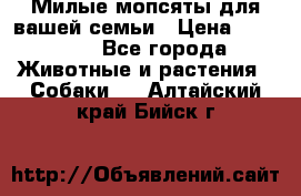 Милые мопсяты для вашей семьи › Цена ­ 20 000 - Все города Животные и растения » Собаки   . Алтайский край,Бийск г.